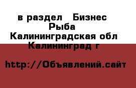  в раздел : Бизнес » Рыба . Калининградская обл.,Калининград г.